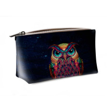 Косметичка big KOS2 «Owl color»