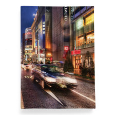 Обложка для автодокументов, AUT2 «Проспект»