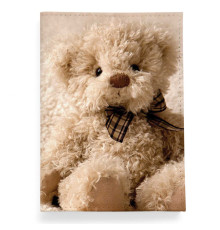 Обложка для паспорта, PAS2 «Медведь»