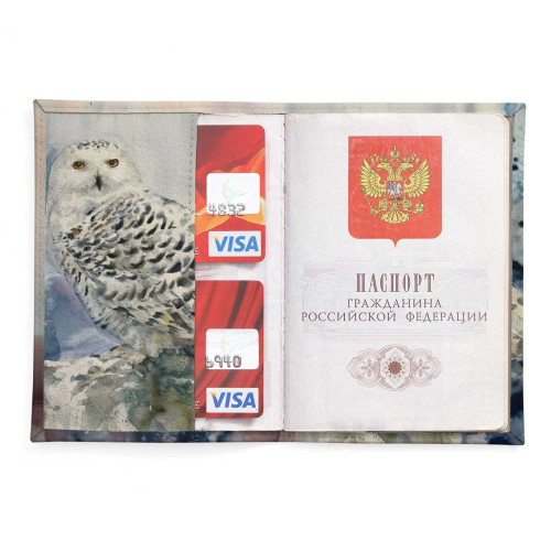 Обложка для паспорта, PAS2 «На страже»