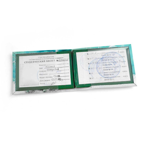 Обложка для студенческого билет STD1 «Snow cat»