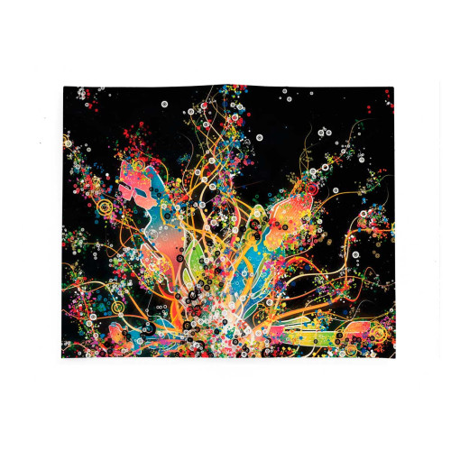 Портмоне PRS3 «Burst of Color»