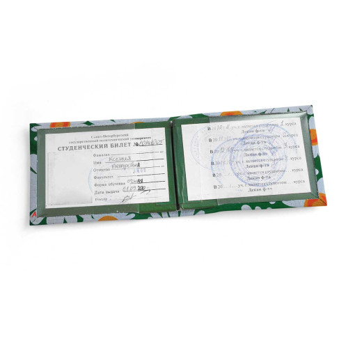 Обложка для студенческого билет STD1 «Ромашки 5»