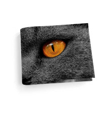 Обложка для студенческого билет STD1 «Cat Eyes»