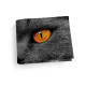 Обложка для студенческого билет STD1 «Cat Eyes»