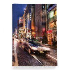 Обложка для паспорта, PAS2 «Проспект»