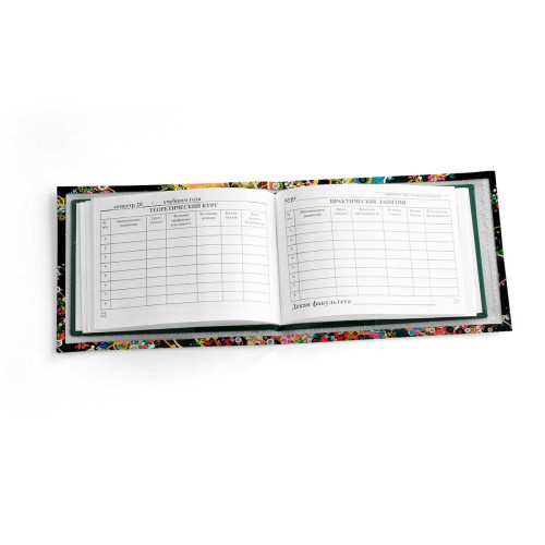 Обложка для зачетной книжки ZTK1 «Burst of Color»