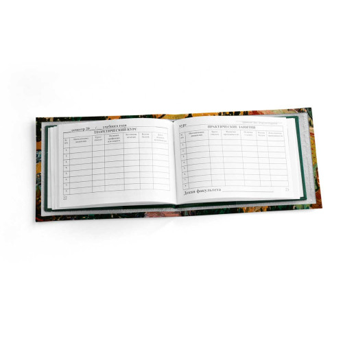 Обложка для зачетной книжки ZTK1 «Vincent van Gogh Valley»