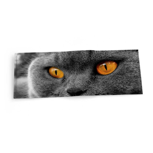 Обложка для студенческого билет STD1 «Cat Eyes»