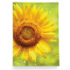 Обложка для автодокументов, AUT2 «Sunflower»