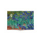 Обложка для автодокументов, AUT2 «Vincent van Gogh  Irises»
