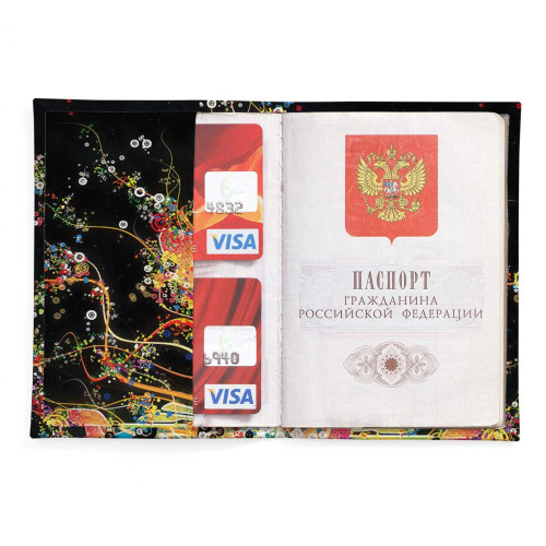 Обложка для паспорта, PAS2 «Burst of Color»