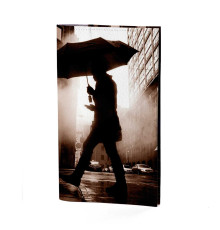 Портмоне PRS3 «Rain man»