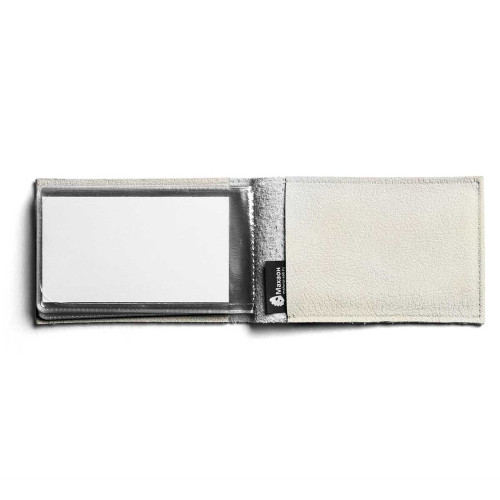 BSN1 «Кот с душой поэта»