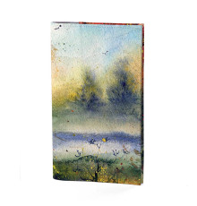 Портмоне PRS3 «Akvarel»