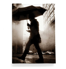 Обложка для паспорта, PAS2 «Rain man»