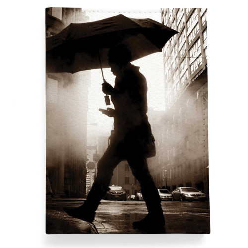 Обложка для паспорта, PAS2 «Rain man»