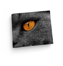 Обложка для зачетной книжки ZTK1 «Cat Eyes»