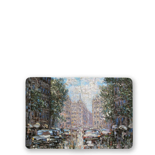 Обложка для паспорта, PAS4 «Дождь и солнце в Петербурге»