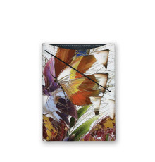 Обложка для документов, PAS3 «Бабочки 7»
