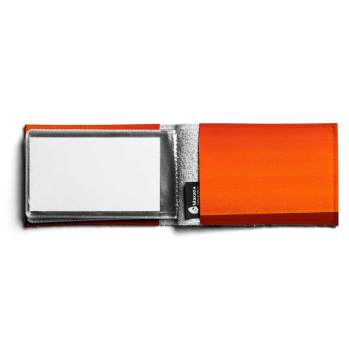 BSN1 «Слоны оранжевые»