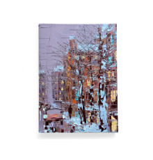 Обложка для автодокументов, AUT2 «Зимний Петербург»