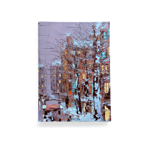 Обложка для автодокументов, AUT2 «Зимний Петербург»