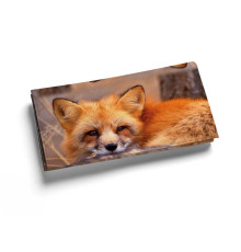 Кошелек, PRS1 «Лиса горизонтальная»