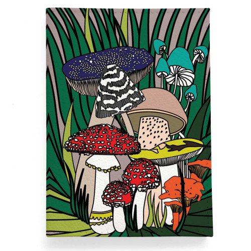 Обложка для паспорта, PAS2 «Грибочки»