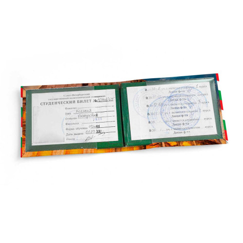 Обложка для студенческого билет STD1 «Colosseo»
