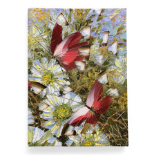 Обложка для паспорта, PAS2 «Бабочки и цветы»