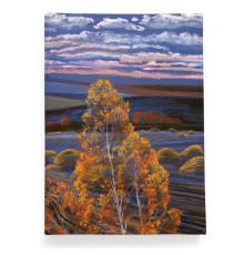 Обложка для паспорта, PAS2 «Родные просторы 2»