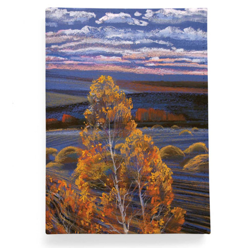 Обложка для паспорта, PAS2 «Родные просторы 2»