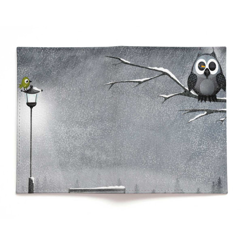 Обложка для паспорта, PAS2 «Owl & bird»