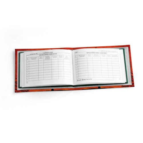 Обложка для зачетной книжки ZTK1 «Дерево лабиринт»