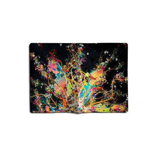 Обложка для паспорта, PAS1 «Burst of Color»