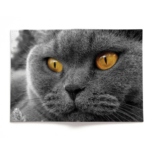 Обложка для паспорта, PAS2 «Cat Eyes»