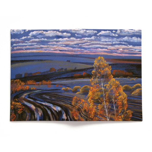 Обложка для паспорта, PAS2 «Родные просторы 2»