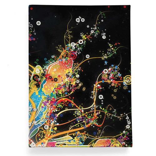 Обложка для автодокументов, AUT2 «Burst of Color»