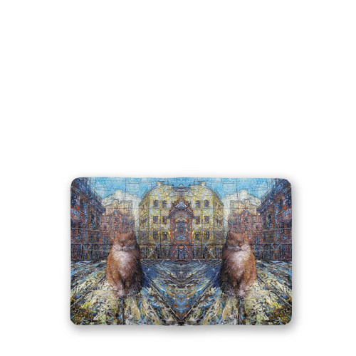 Обложка для паспорта, PAS4 «Рыжий кот»