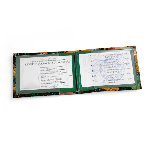 Обложка для студенческого билет STD1 «Vincent van Gogh Valley»