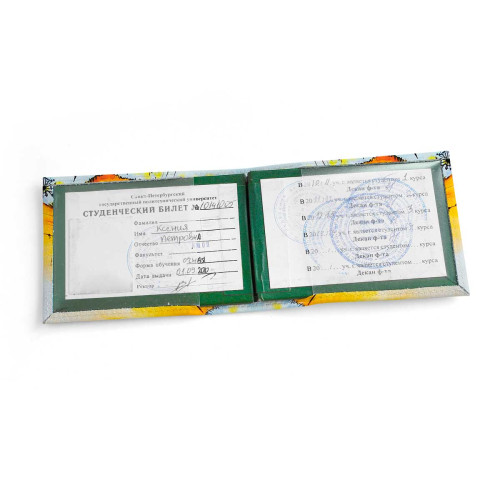 Обложка для студенческого билет STD1 «Crazy cat»