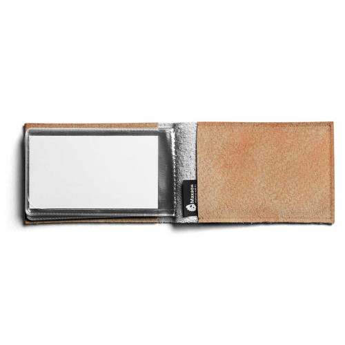 BSN1 «Шерлок кот»