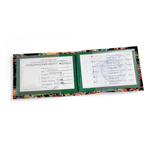 Обложка для студенческого билет STD1 «Burst of Color»