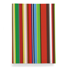 Обложка для паспорта, PAS2 «Полоски»