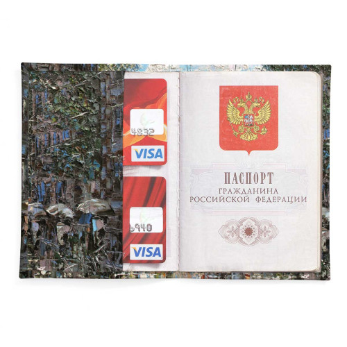 Обложка для паспорта, PAS2 «Дождь и солнце в Петербурге»