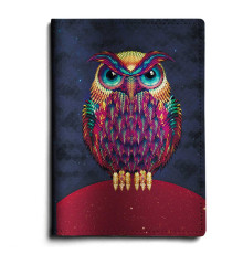 Обложка для автодокументов, AUT1 «Owl color»