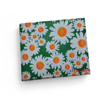 Обложка для зачетной книжки ZTK1 «Ромашки 5»