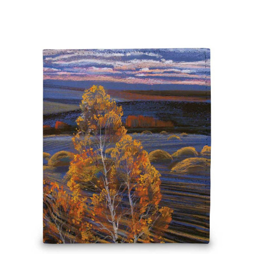 Кошелек мини PR17 «Родные просторы 2»