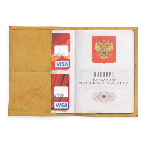 Обложка для паспорта, PAS2 «Small black cat»